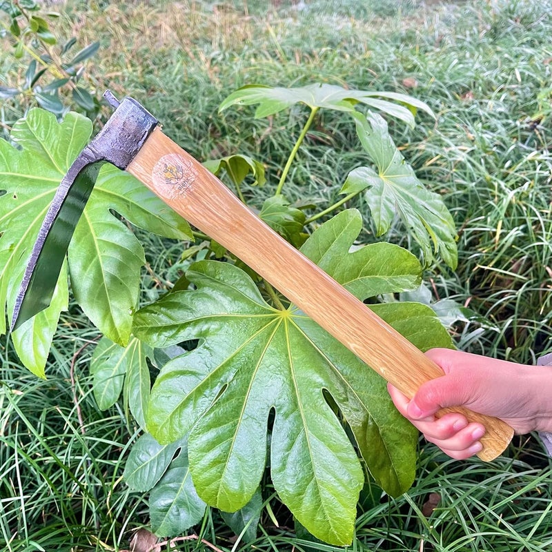 ALANX 14 Inch Heavy Duty Curved Hoe, Without Welding, Gardening Tool, Oak Handle, for Digging, Weeding, and Planting - Image 4